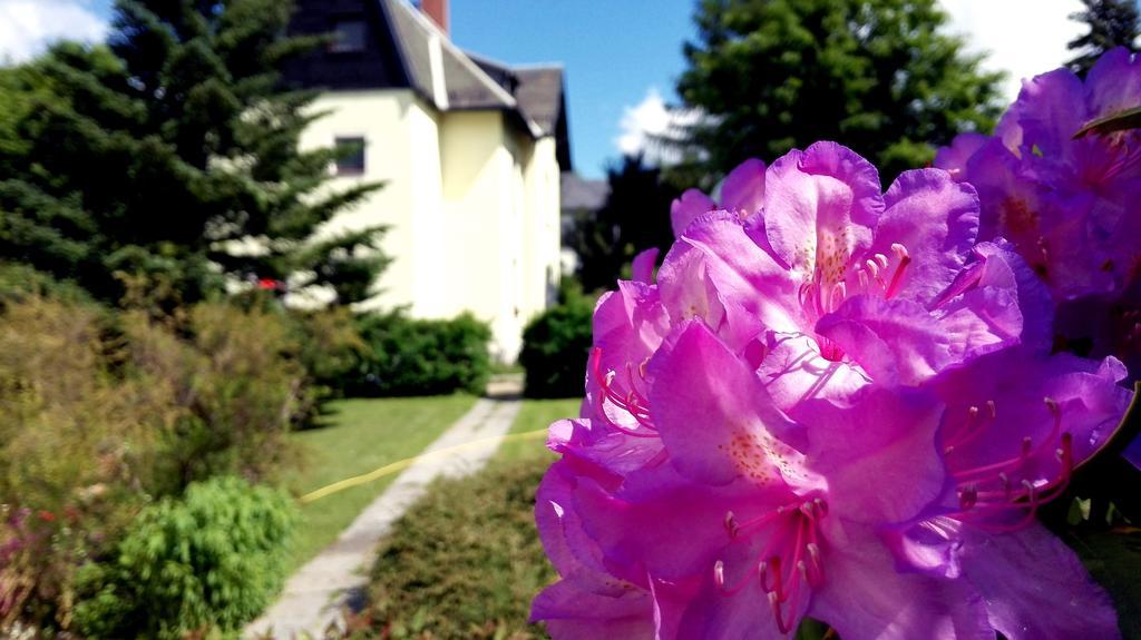 Ferienhotel Augustusburg Kültér fotó