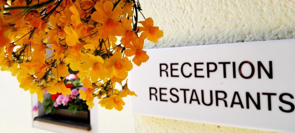 Ferienhotel Augustusburg Kültér fotó